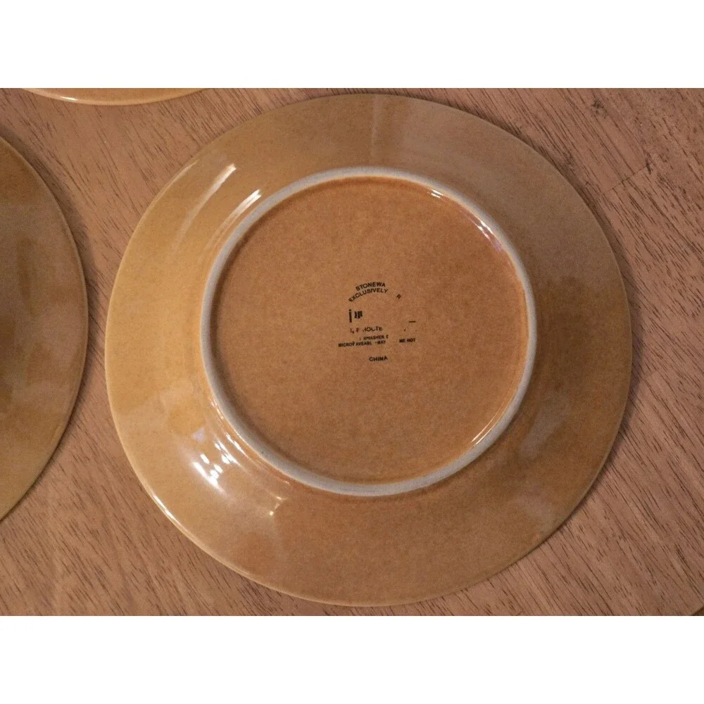 Pier 1 Spice Route Ginger Stoneware 3 Pc Set Beaded Rim Soup Bowl Salad Plates